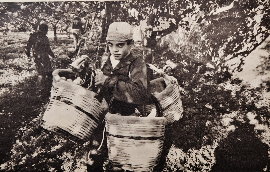 Avola, dic. 1968 - da ReportageSicilia